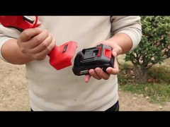 オーストン AES20-4 剪定機